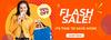 Promotional banner with a woman holding a phone and bags, featuring a flash sale and 75% off offer.