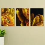 Set of 3 Wall Art Wooden Frames (Sun Flowers)