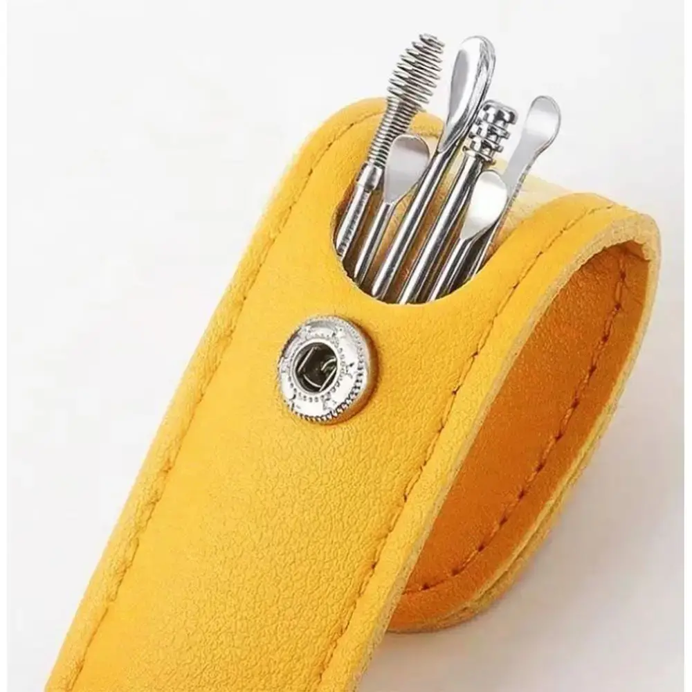 Stainless Steel Earwax Removal Kit