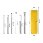 Stainless Steel Earwax Removal Kit